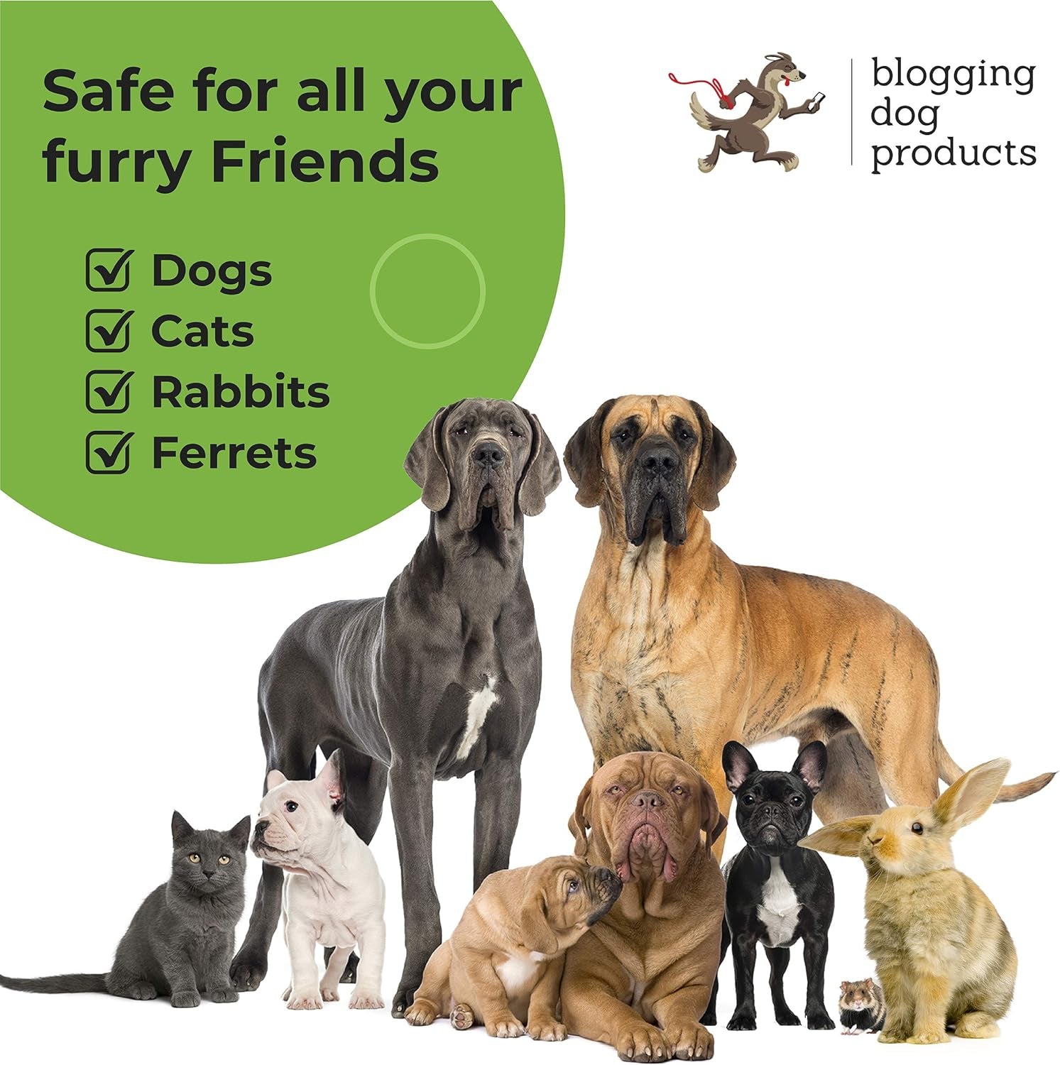 Dog Deodorizing Spray – Long-Lasting Dog Cologne & Pet Odor Eliminator – Sugar Cookie Scented Dog Perfume for Smelly Dogs – Safe, Refreshing Dog Grooming Spray