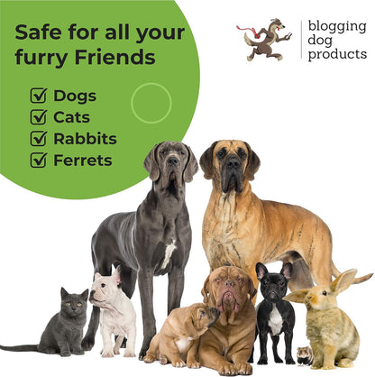 Dog Deodorizing Spray – Long-Lasting Dog Cologne & Pet Odor Eliminator – Sugar Cookie Scented Dog Perfume for Smelly Dogs – Safe, Refreshing Dog Grooming Spray